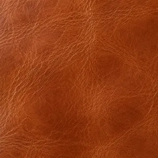 Cuero Cognac